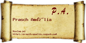 Prasch Amália névjegykártya